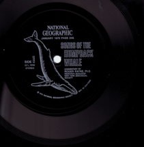 Songs Of The Humpback Whale - National Geographic Eva-Tone - 1979 The biggest selling/produced flexi’ of all time? As heard on The Wonderful Weightless World Of The Flexi-disc NGHW