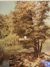 Németh Lebel - ML.73 VII.37/622 - Colorvox